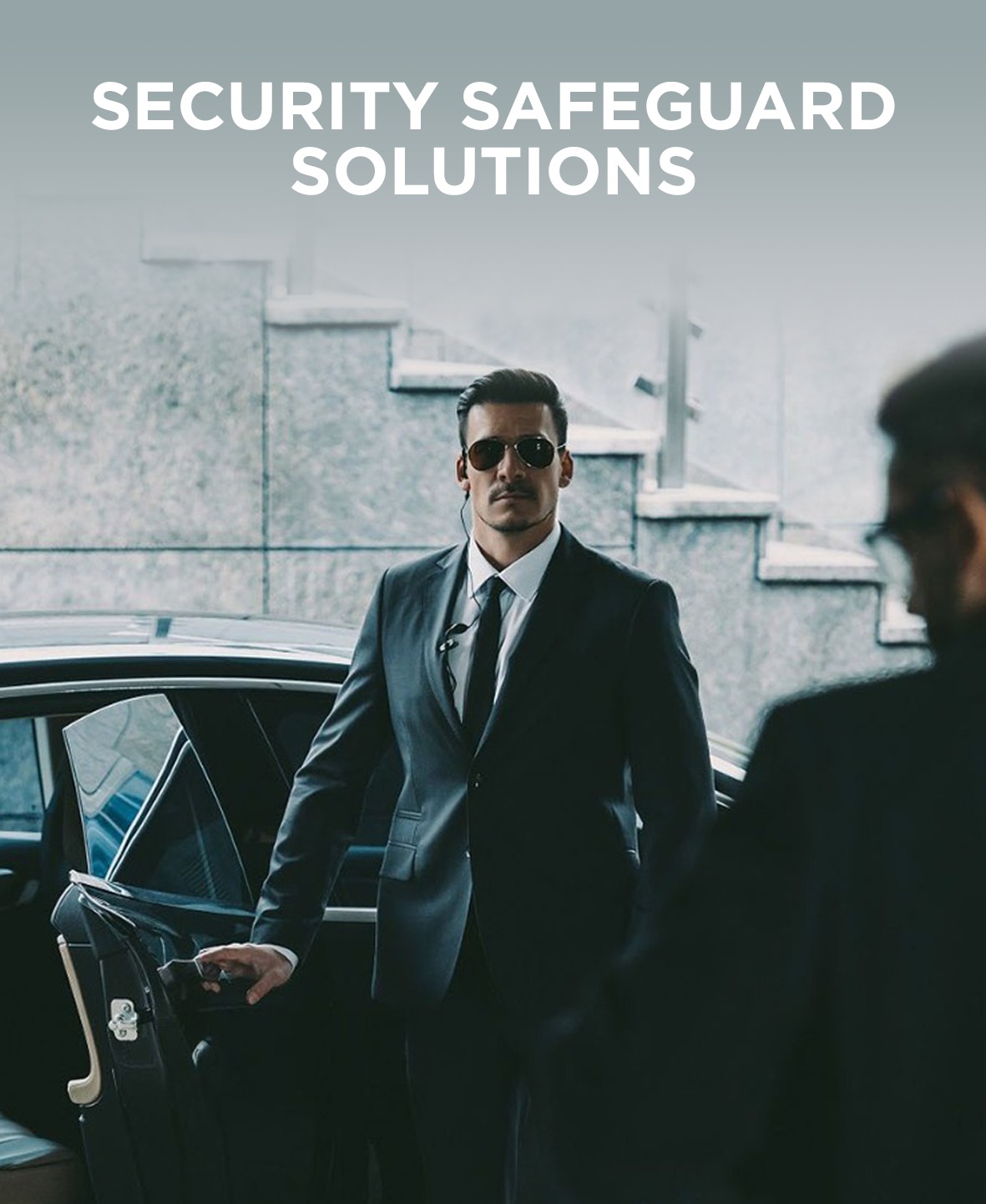 security safeguard solutions