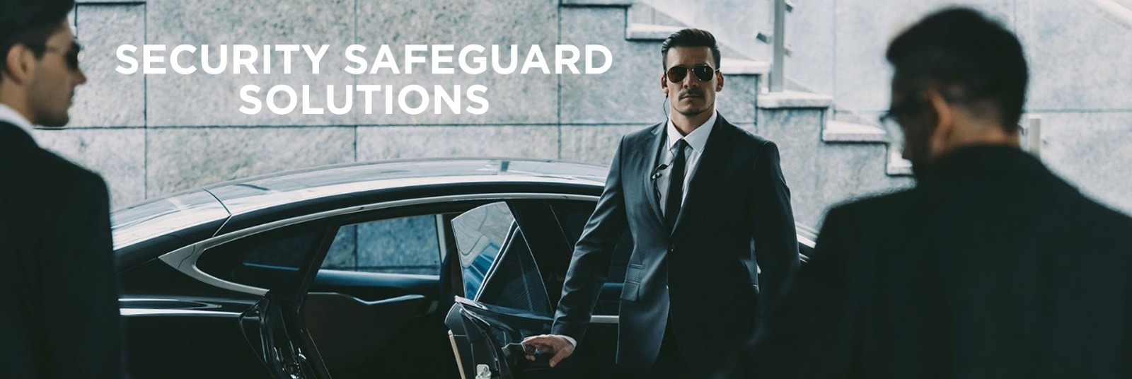 security safeguard solutions